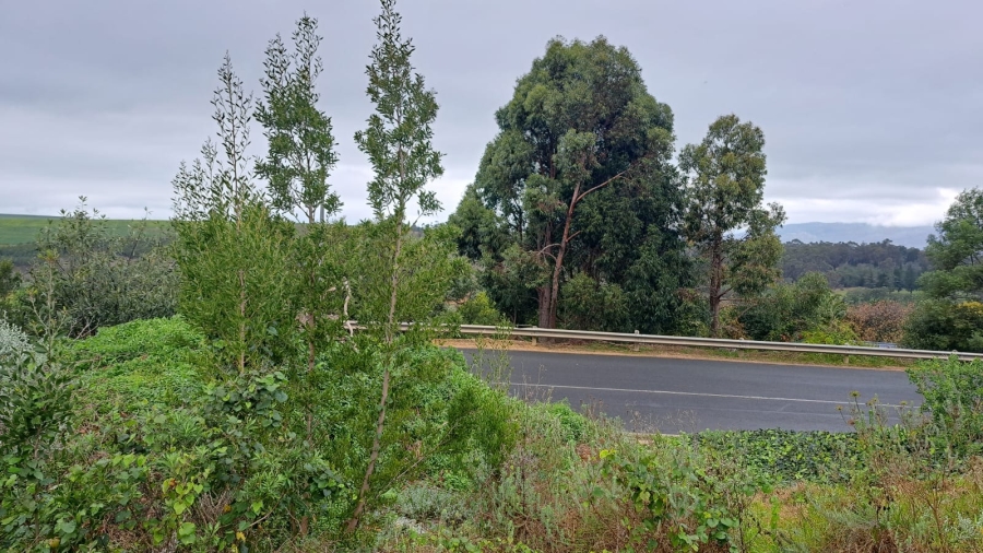 0 Bedroom Property for Sale in Caledon Western Cape
